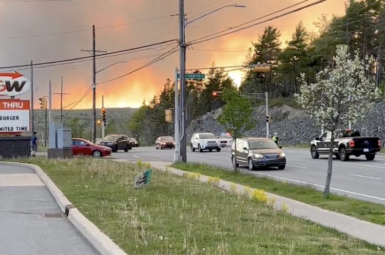New Nova Scotia Wildfire Rules Ban Time in the Woods, Prompt Confusion ...