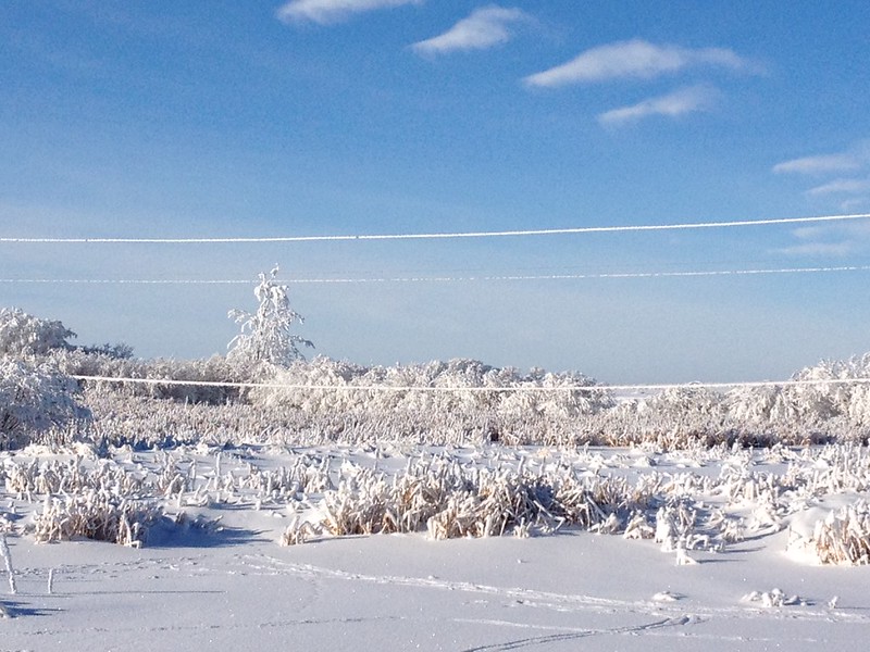Sask Power/flickr